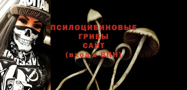 гидропоника Арсеньев