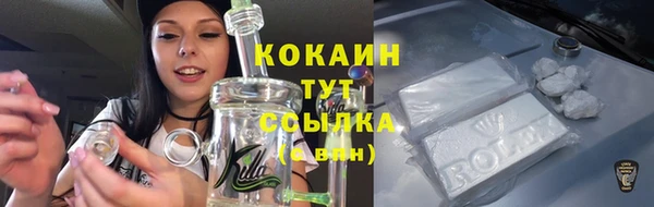 спиды Аркадак