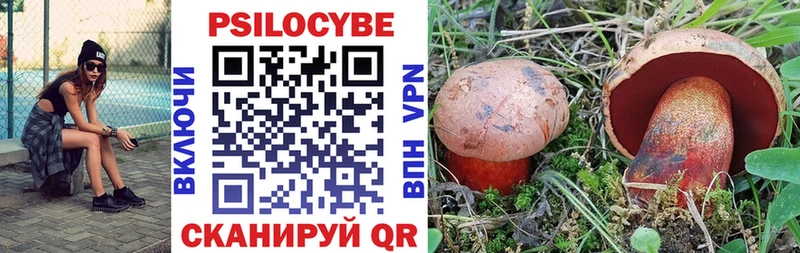Галлюциногенные грибы мухоморы  Байкальск 